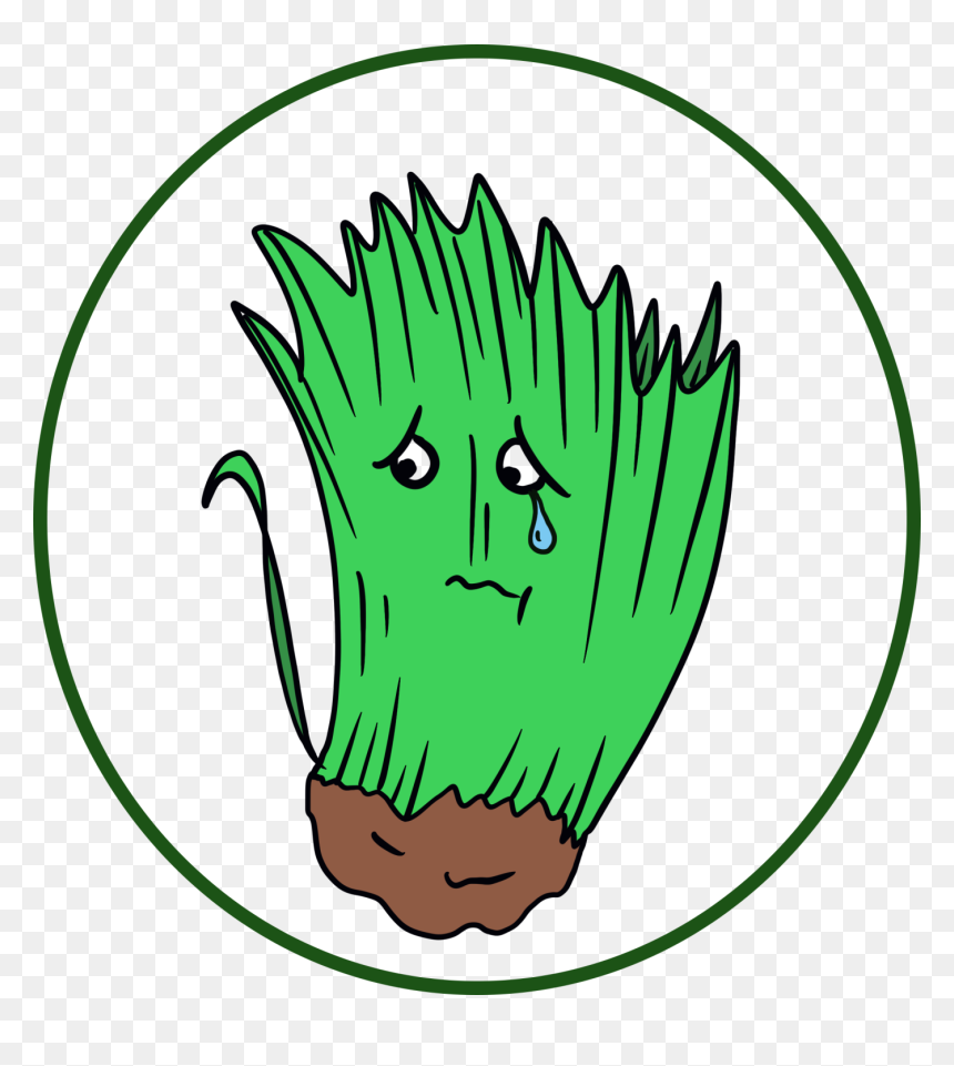 Grasspisces "
 Class="img Responsive True Size - Cartoon, HD Png Download - kermit tea png