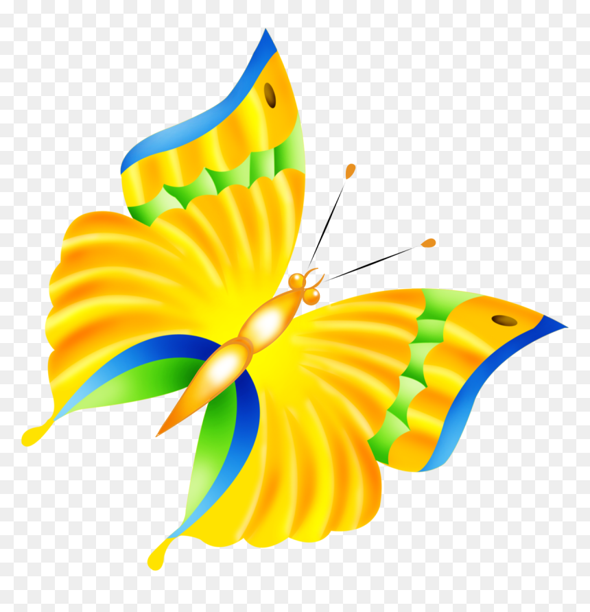 Borboletas & Joaninhas E - Borboletas, HD Png Download - borboletas png