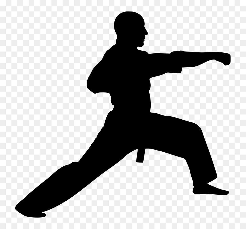 Martial Arts Silhouette, HD Png Download - kung fu png