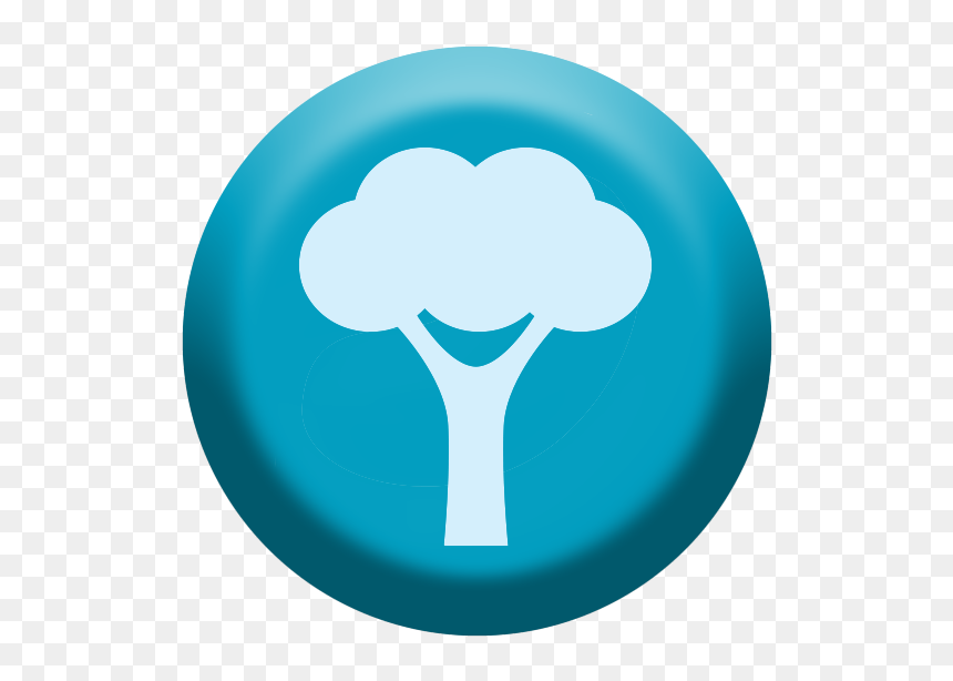 Broccoli, HD Png Download - img_tree.png