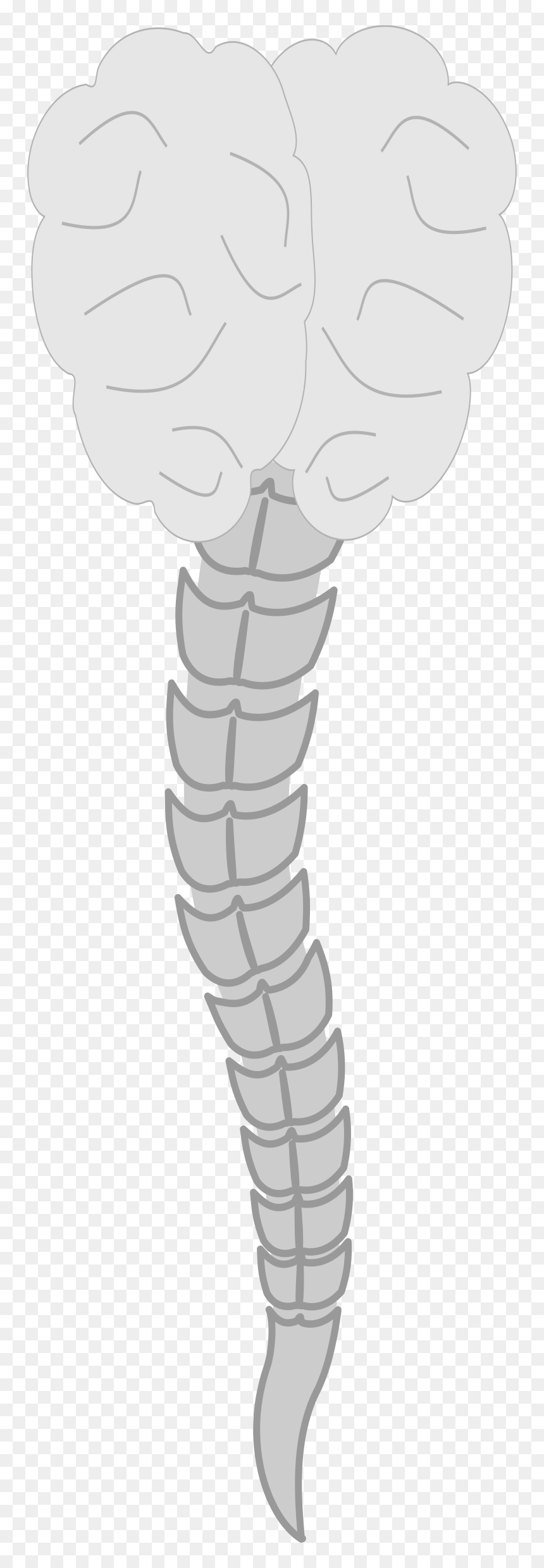 Cerebro Clip Arts - Logo Columna Vertebral Y Cerebro, HD Png Download - cerebro png