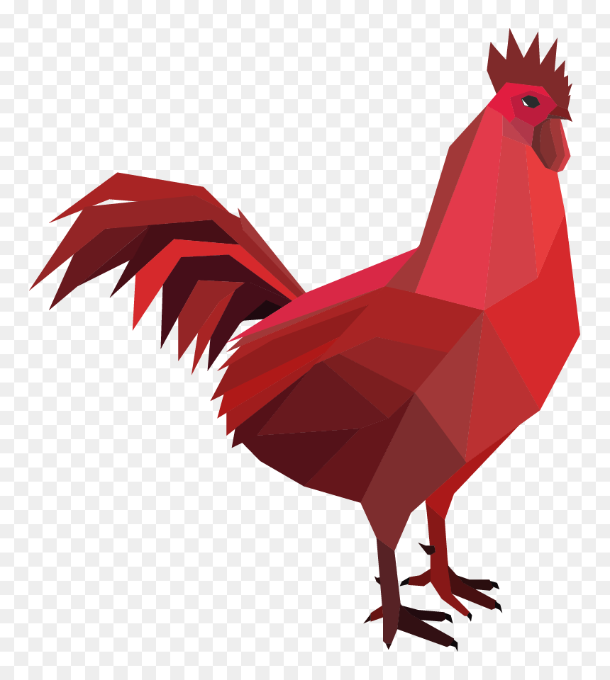 Rooster, HD Png Download - gallo png