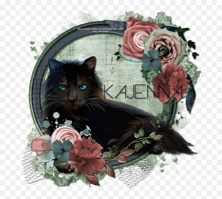 Black Cat , Png Download - Black Cat, Transparent Png - black mage png