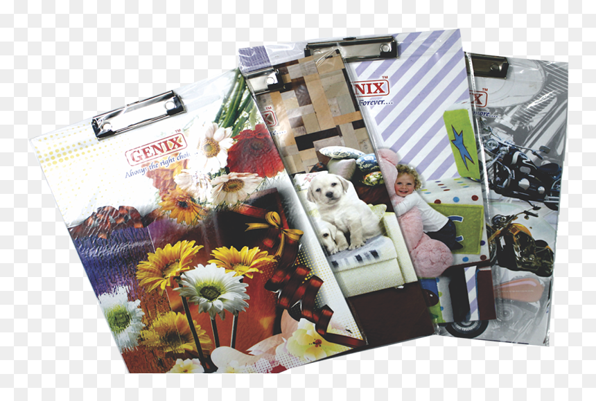 Clip Board - Chrysanths, HD Png Download - clip board png