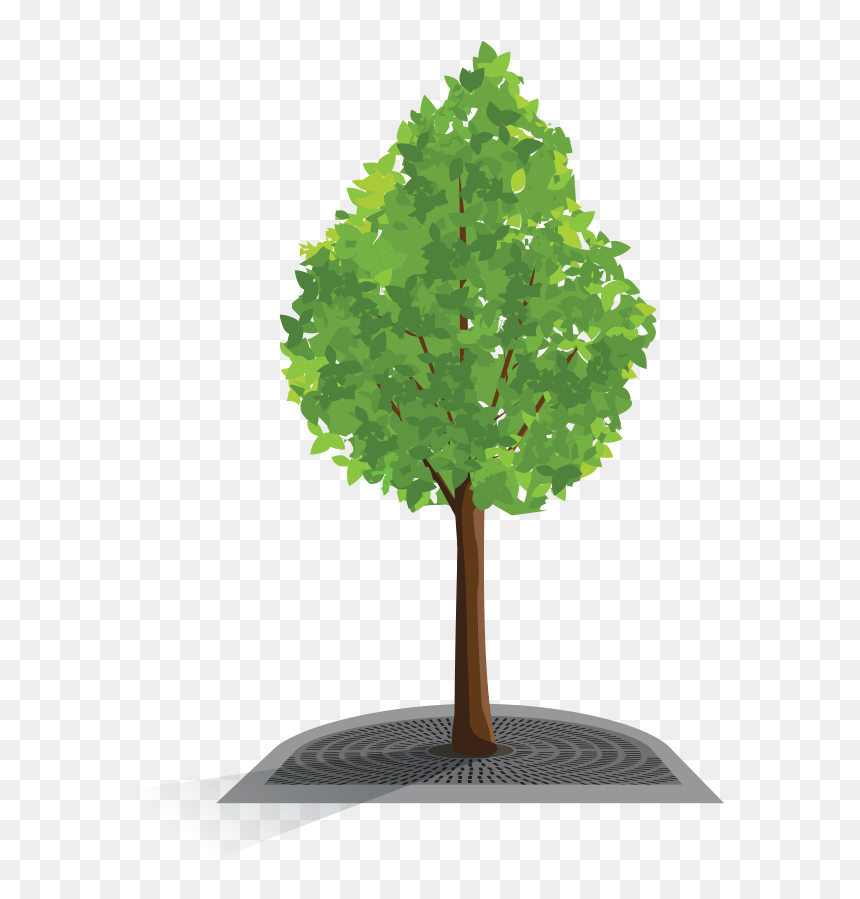 Plastic Tree Png, Transparent Png - grate png