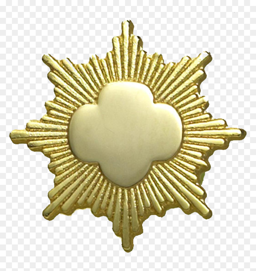 Award Pins Girl Scouts, HD Png Download - girl scouts png