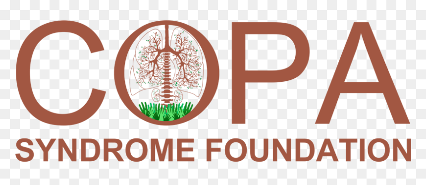 Graphics, HD Png Download - copa png