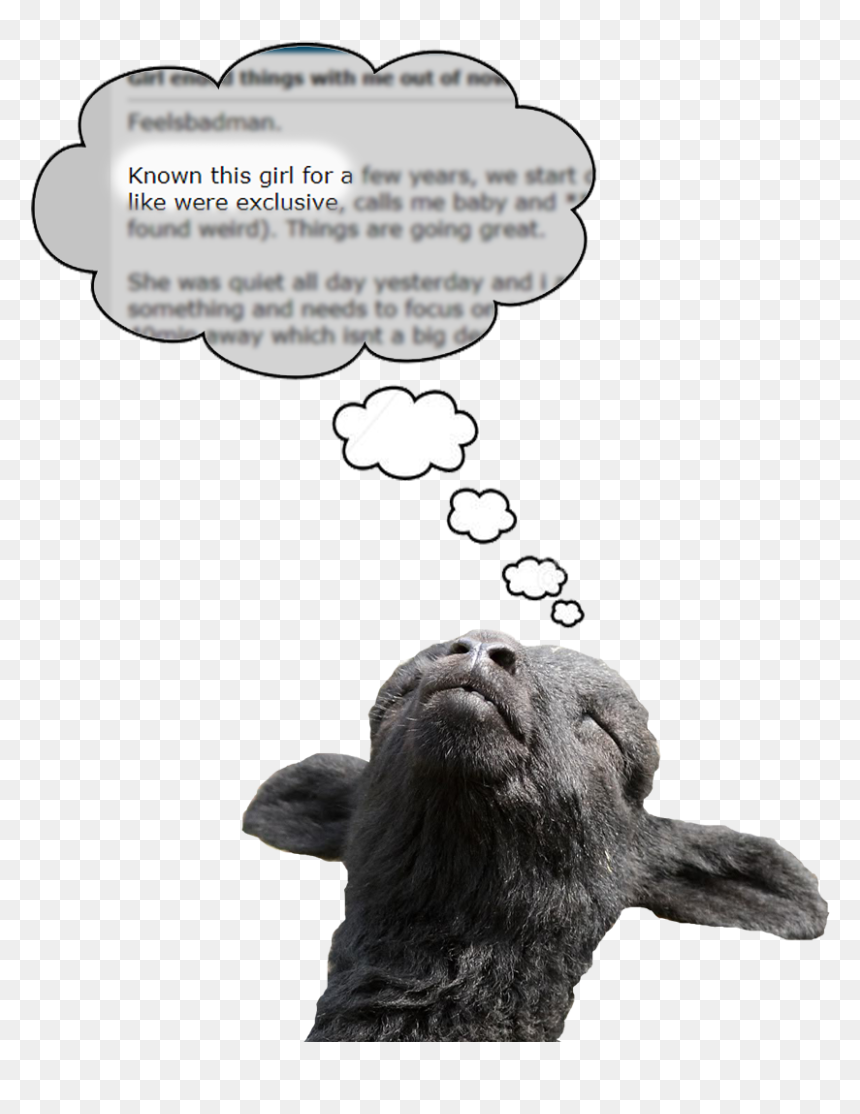 Bird , Png Download - Using Imagination Since No, Transparent Png - feels bad man png