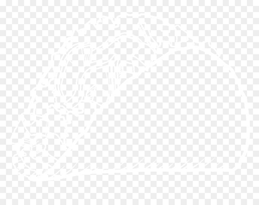 Taco Icon - Illustration, HD Png Download - taco icon png