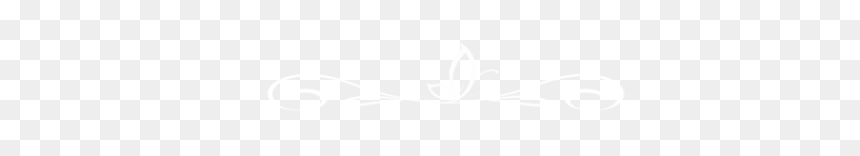 Johns Hopkins Logo White, HD Png Download - black divider png