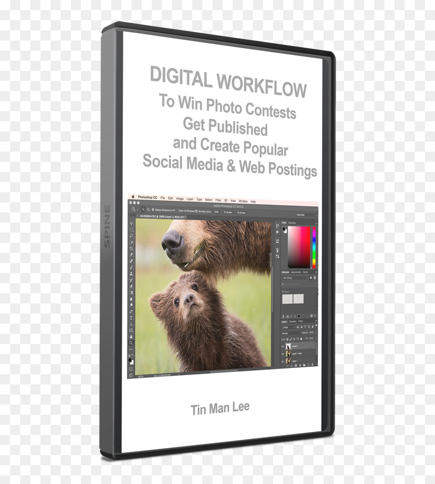Digital Workflow To Win Photo Contests, Get Published, - Punxsutawney Phil, HD Png Download - tin man png
