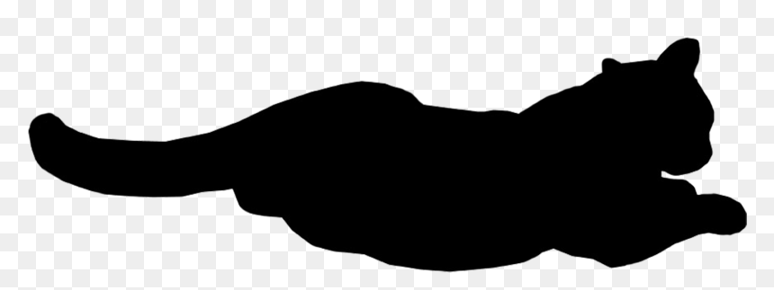 Black Cat Gif Png Clipart , Png Download - Cat Black Gif Png, Transparent Png - cat gif png