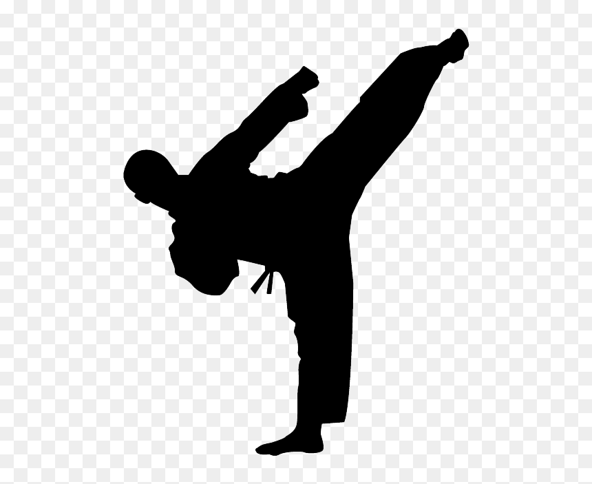 Karate Kick Png Photo - Karate Silhouette Png, Transparent Png - kick png