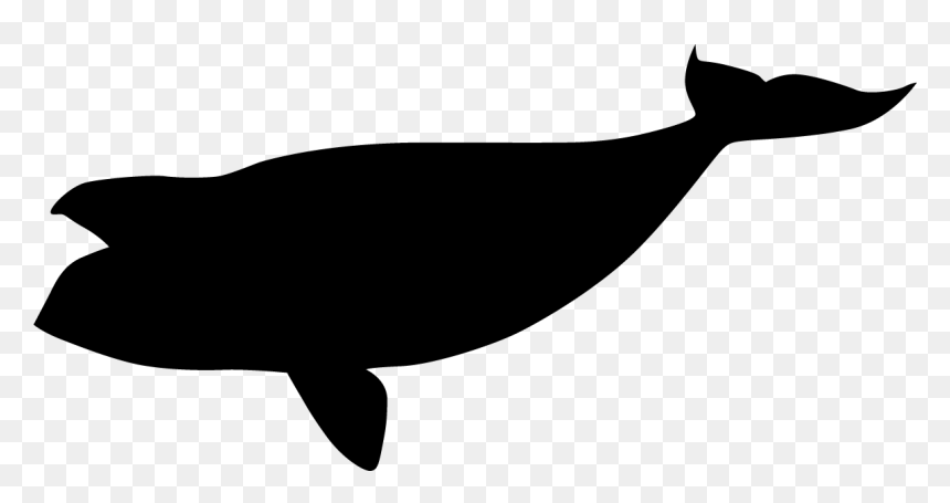 North Pacific Right Whale Black Silhouette - Pacific Black Whale, HD Png Download - whale.png