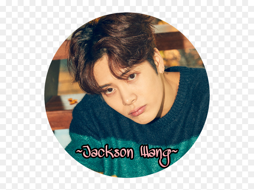 王 嘉 尔 语录, HD Png Download - got7 jackson png
