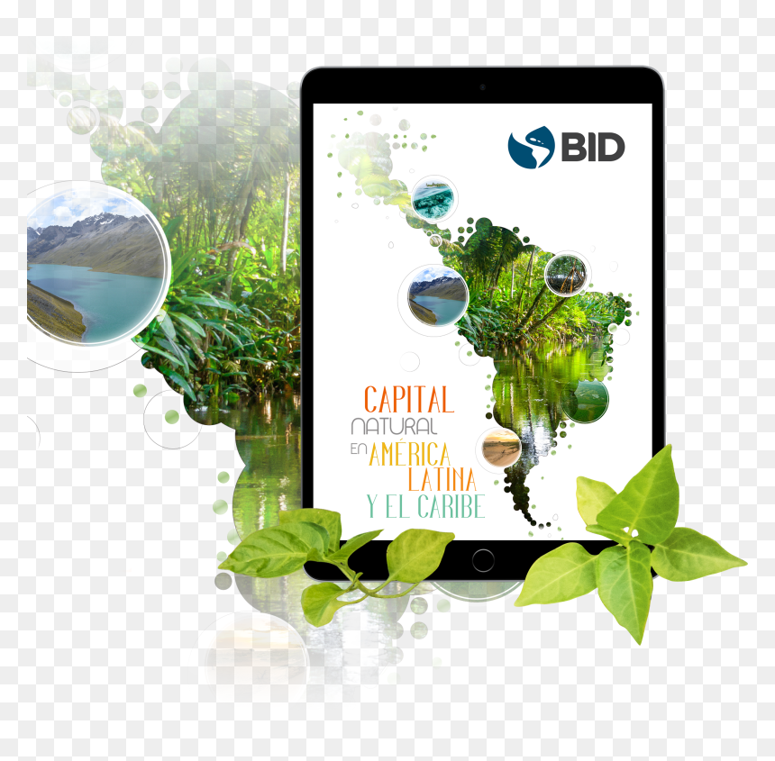 Tablet Computer, HD Png Download - latina png