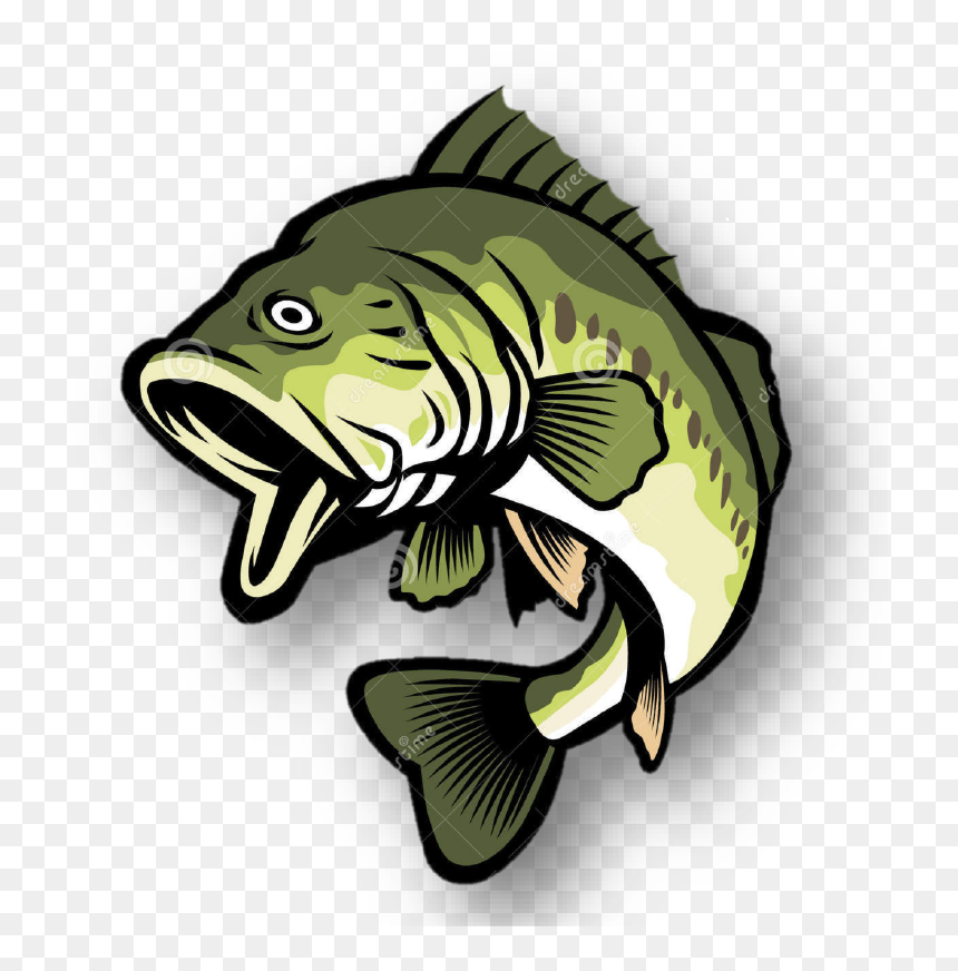 Bass Clipart, HD Png Download - geodude png