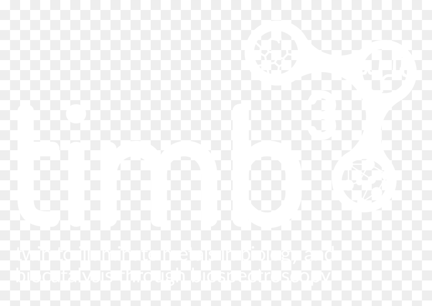 Ibirapuera Park, HD Png Download - timb png