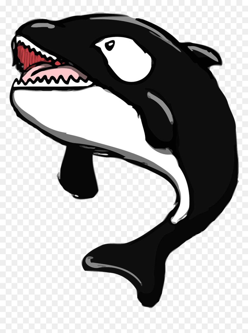 Draw Easy Killer Whale Mouth Open, HD Png Download - whale.png