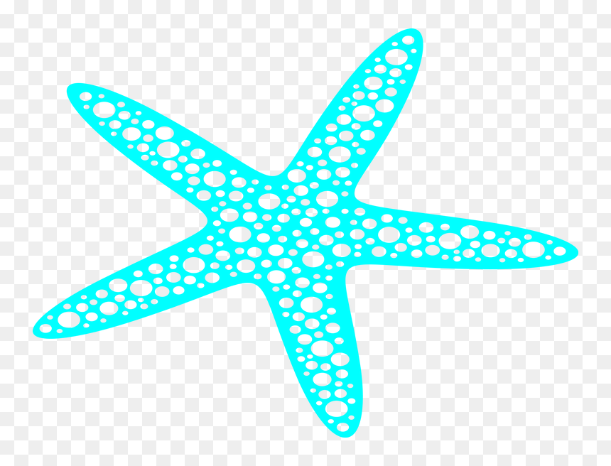 Starfish, HD Png Download - starfish.png
