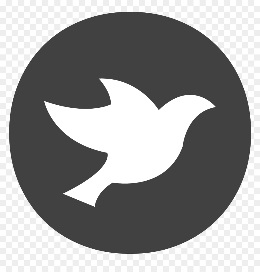 Plpa Webinar November - Star Icon Png Black, Transparent Png - white star icon png