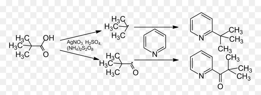 File - Minisci-mech - Reaction Between Methylamine And Propanoic Acid, HD Png Download - mech png