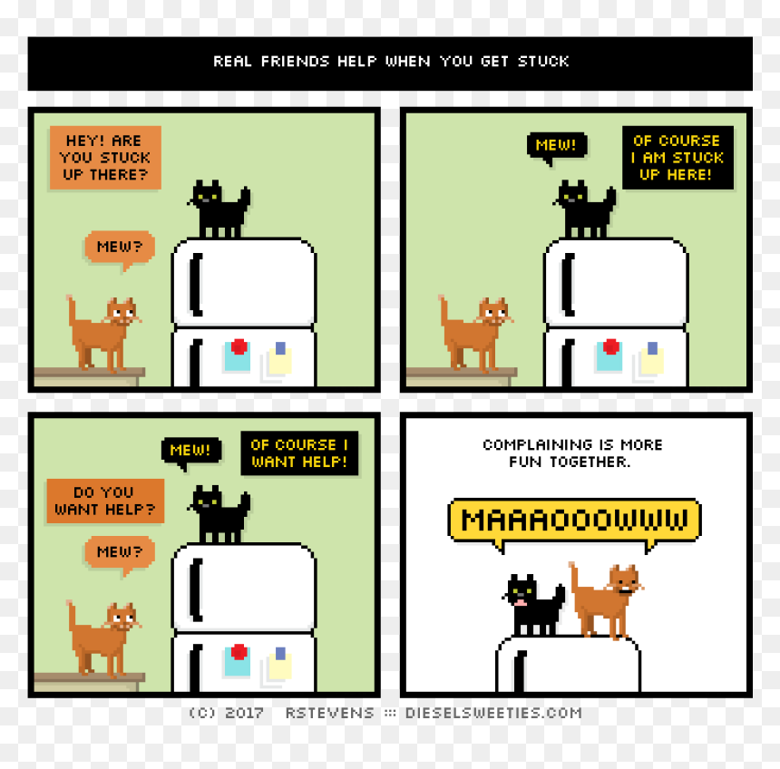 Lil Sis, John Stamos Kitten, On Top Of Refrigerator, - Arglye Sweater, HD Png Download - john stamos png