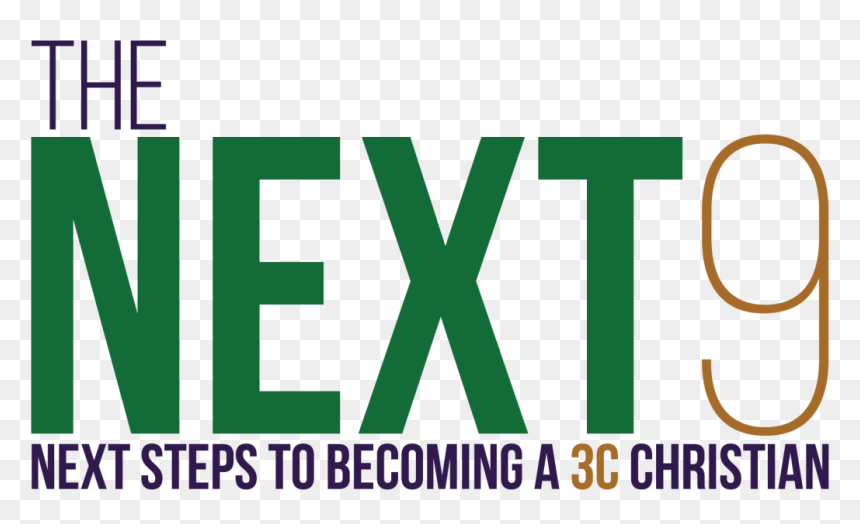 Thenext9 Title - Graphic Design, HD Png Download - next steps png