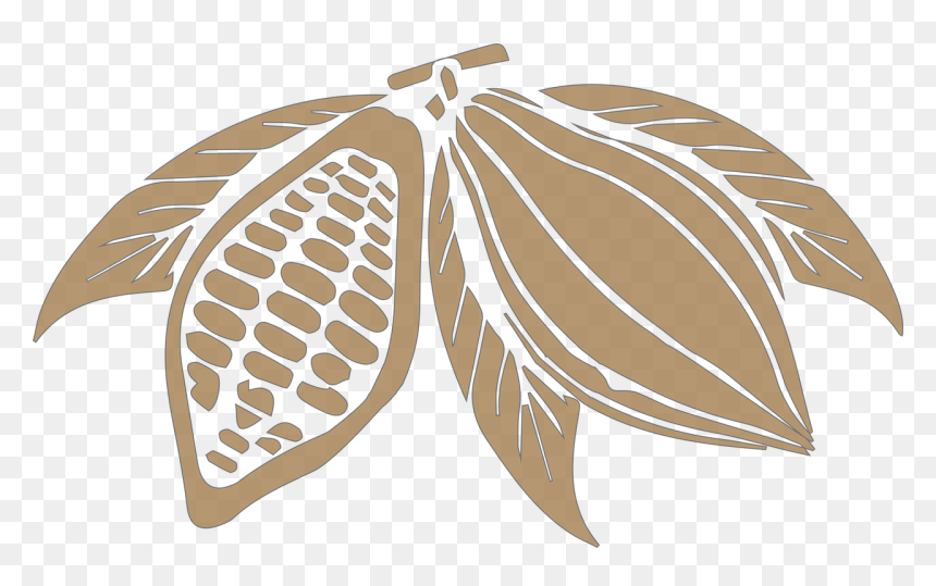 Free Cocoa Bean Png, Transparent Png - cocoa png