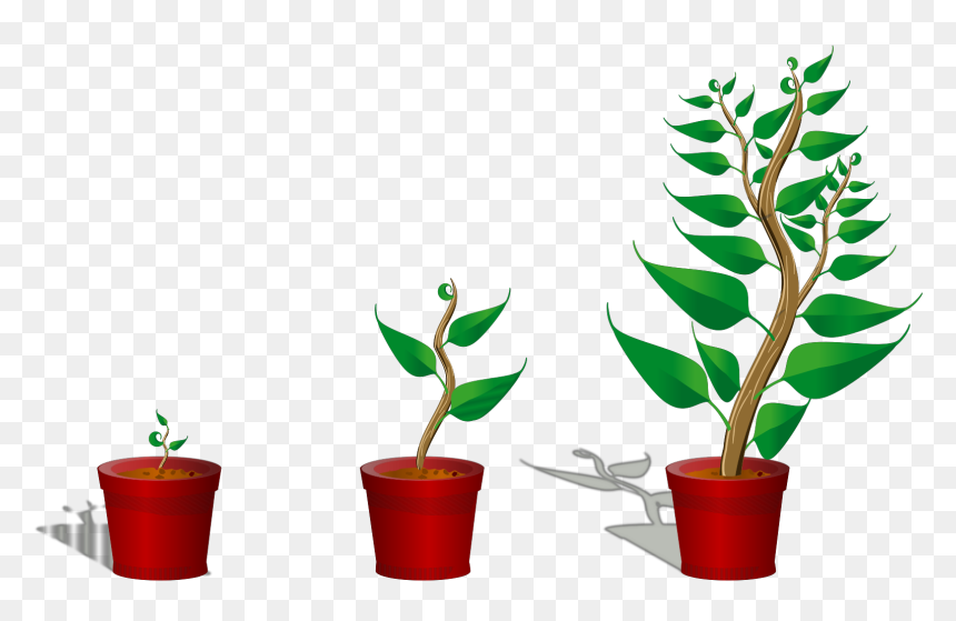 Growing Trees Clip Art, Icon And Svg - Getting To Know Plants, HD Png Download - plant icon png
