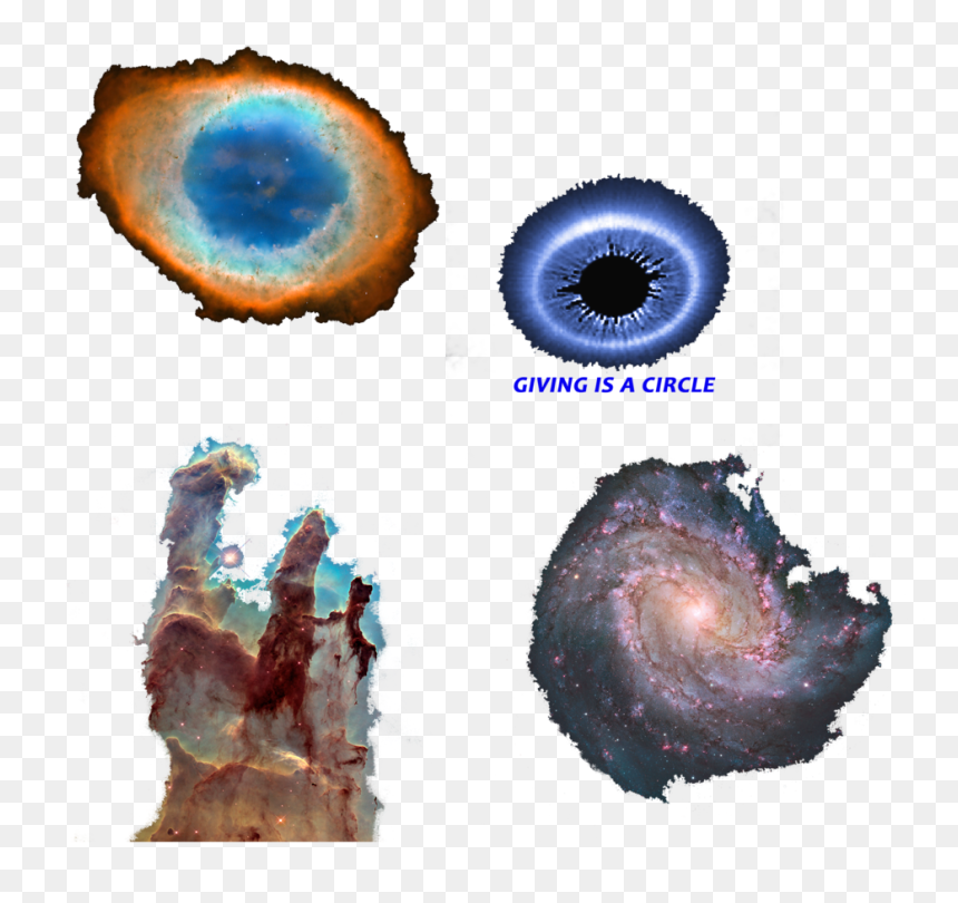 Apparel Web Icon - Marine Invertebrates, HD Png Download - paint icon png