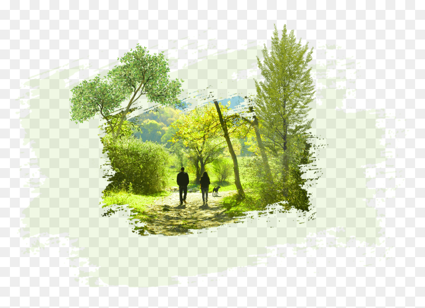 Painting, HD Png Download - paint icon png