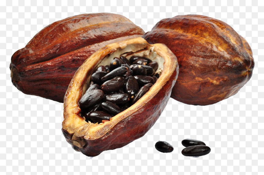 Cacao Free Download Png - Cacao Fruit, Transparent Png - cocoa png