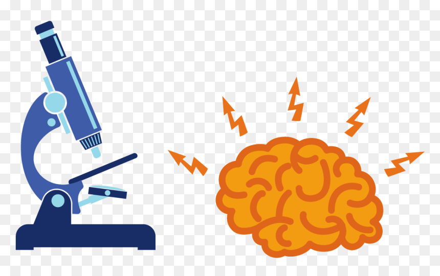 Brain Png Icon - Cartoon Brain Icon Png, Transparent Png - microscope icon png