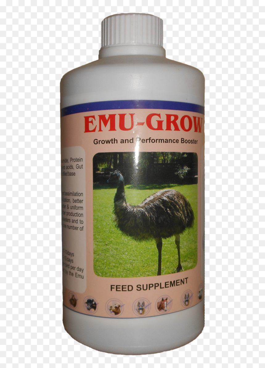 Emu , Png Download, Transparent Png - emu png