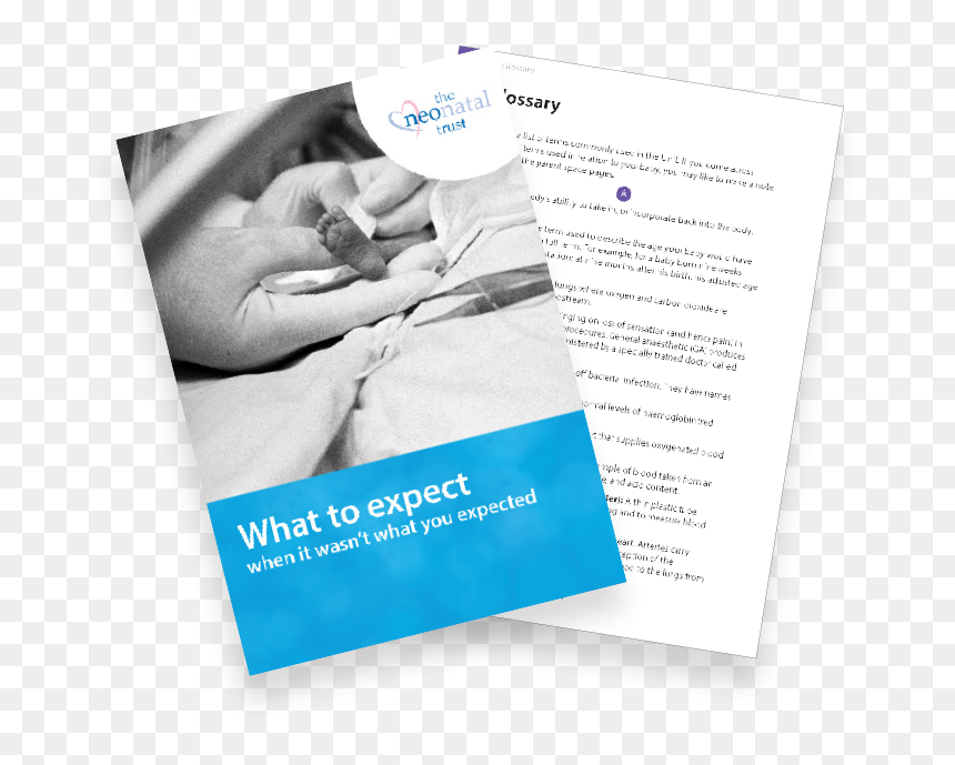 Book Cover & Page - Brochure, HD Png Download - book page png