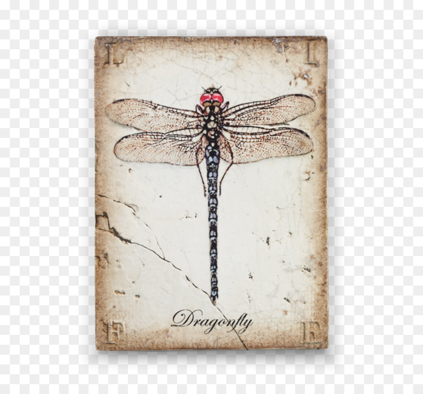 Transparent Dragonfly Wings Png - Sid Dickens Dragonfly, Png Download - dragonfly wings png