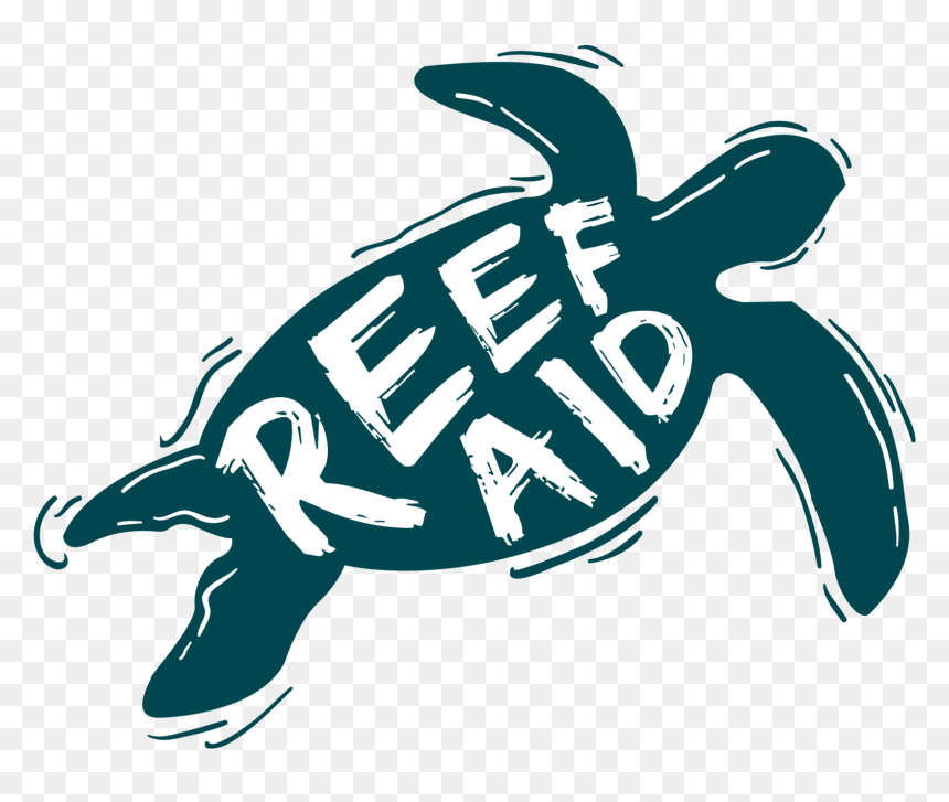 Kemp's Ridley Sea Turtle, HD Png Download - us flag icon png