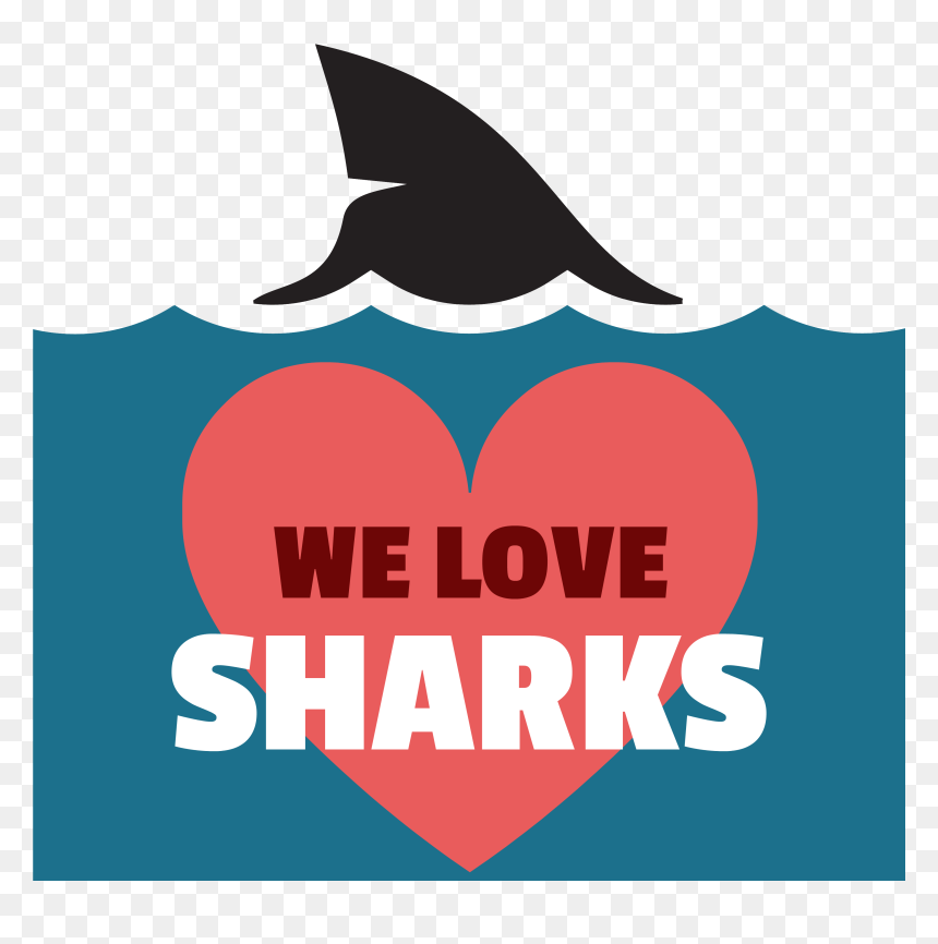 Sharks Logo Png , Png Download - Marine Mammal, Transparent Png - sharks logo png