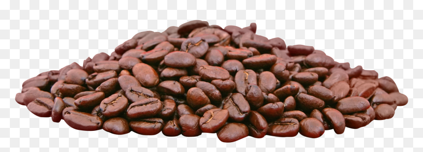 Cocoa Bean Clipart Transparent - Cocoa Beans In Transparent, HD Png Download - cocoa png
