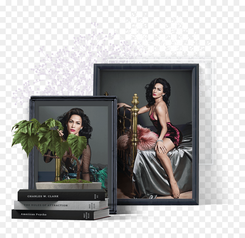 Jennifer Lopez Photos In Frames - Lcd Tv, HD Png Download - jennifer lopez png