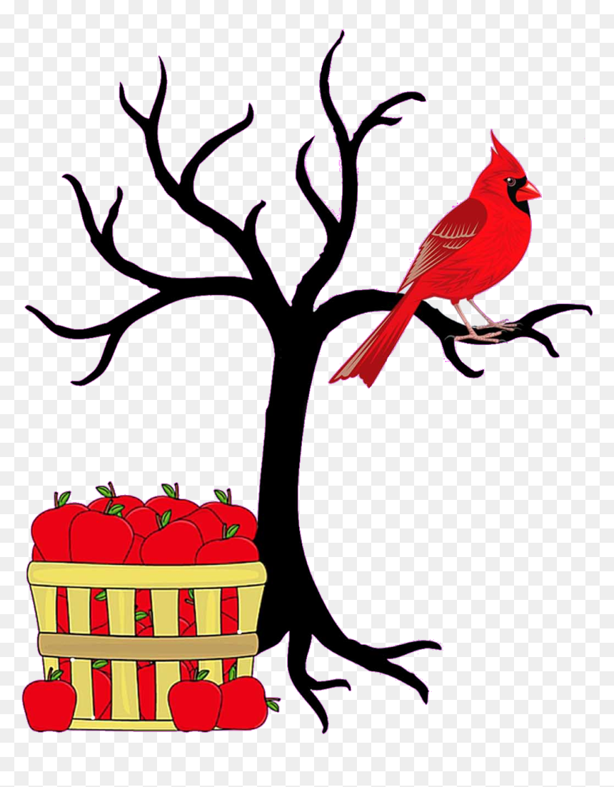 Transparent Cardinal On Branch Clipart - Black And White Tree Clipart, HD Png Download - tree no leaves png