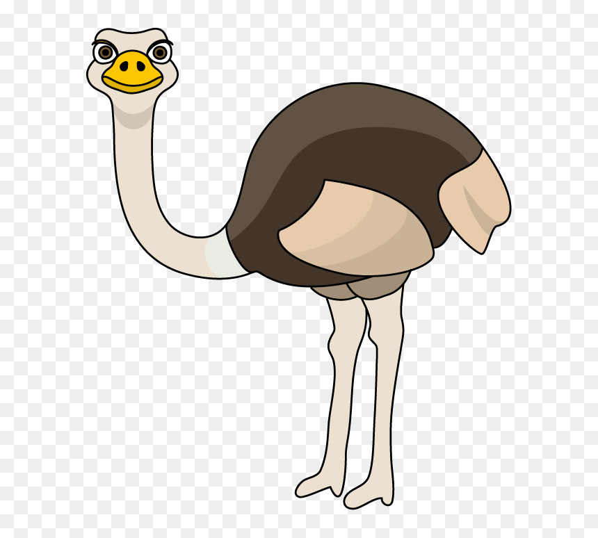 Free Collection Download And - Ostrich Clipart, HD Png Download - emu png