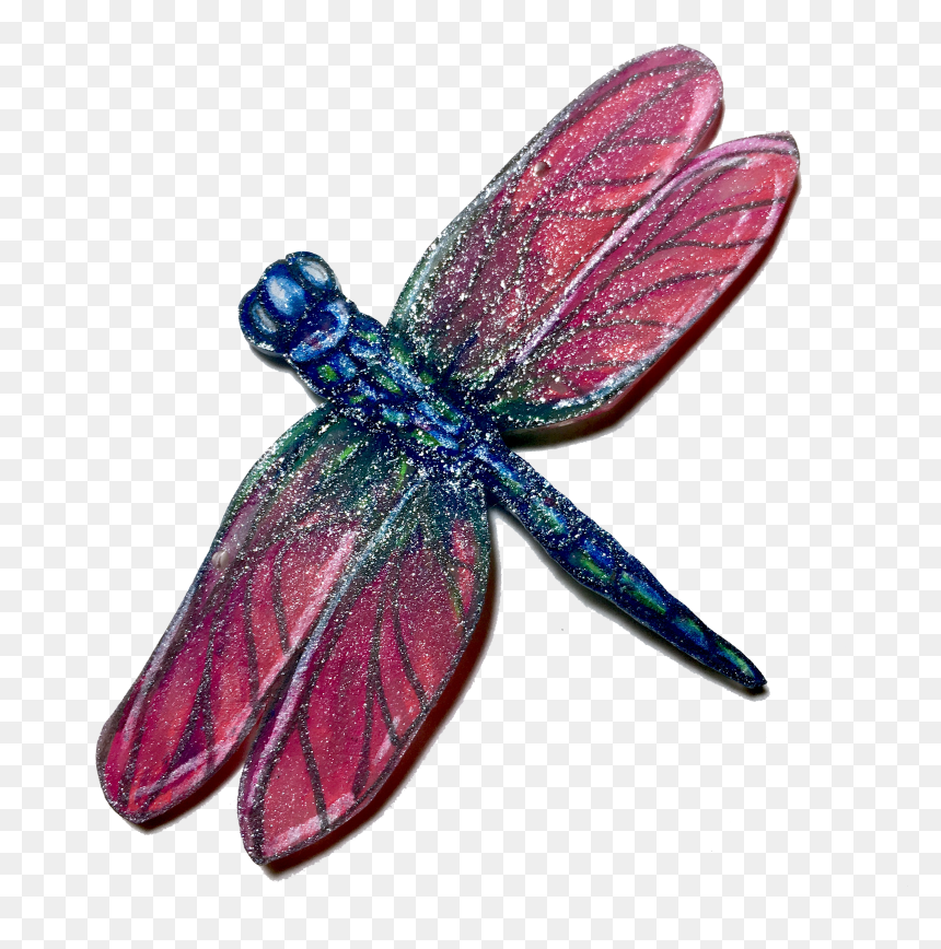 Pink Wings Blue Body Dragonfly, HD Png Download - dragonfly wings png
