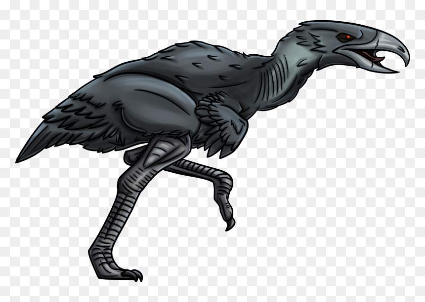 Illustration, HD Png Download - emu png