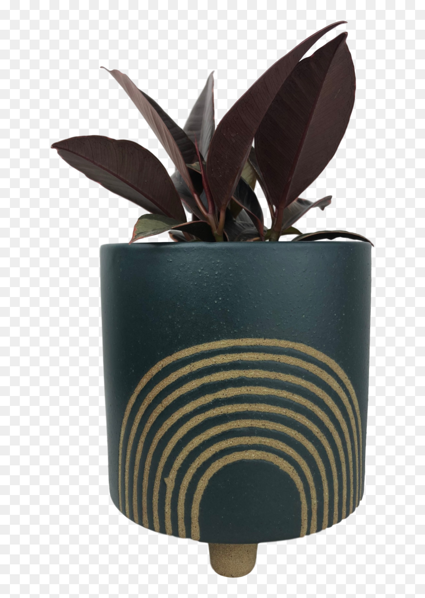 Ficus Elastica In Slate - Flowerpot, HD Png Download - slate png