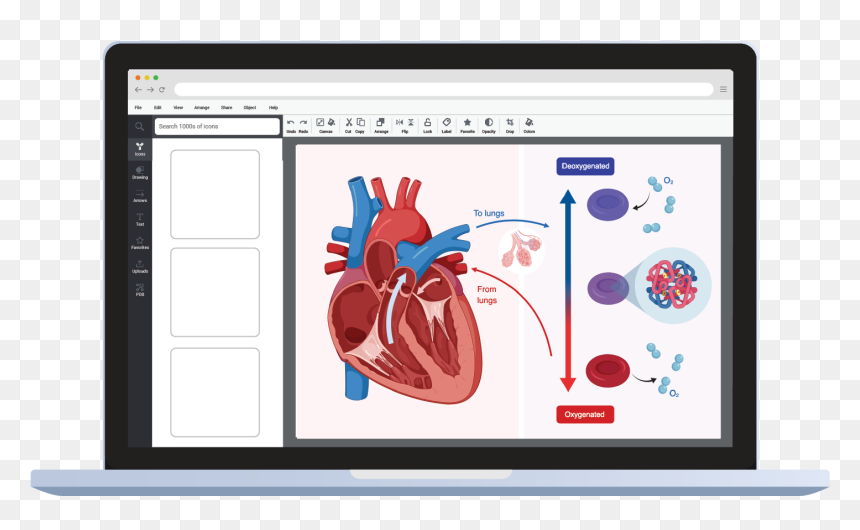 Illustration, HD Png Download - microscope icon png