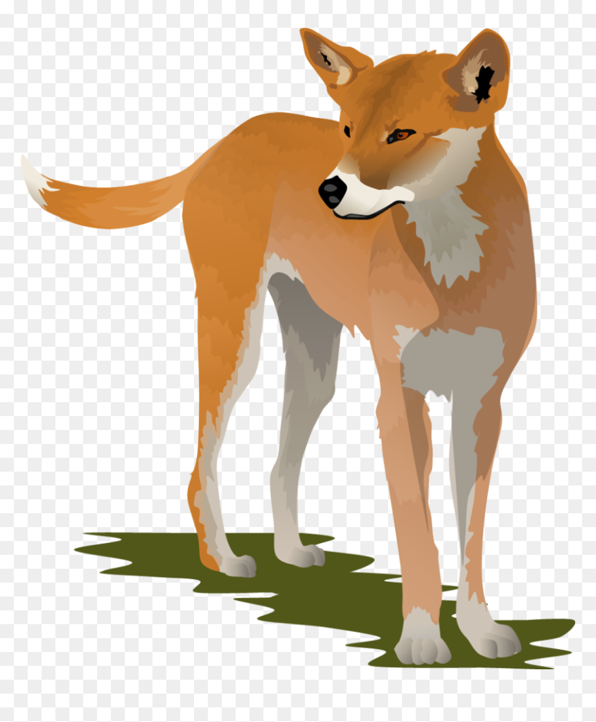 Thumb Image - Dingo Clipart, HD Png Download - dingo png