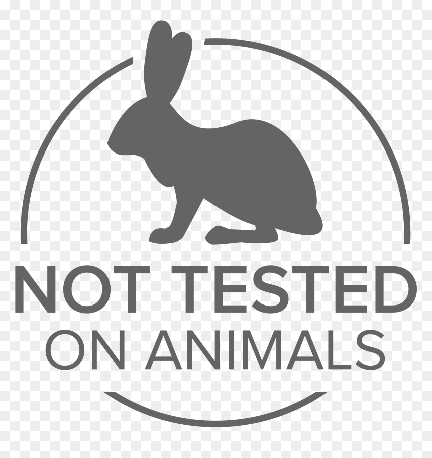 Work Integrated Learning Logo , Png Download - Not Tested On Animals Icon, Transparent Png - emu png