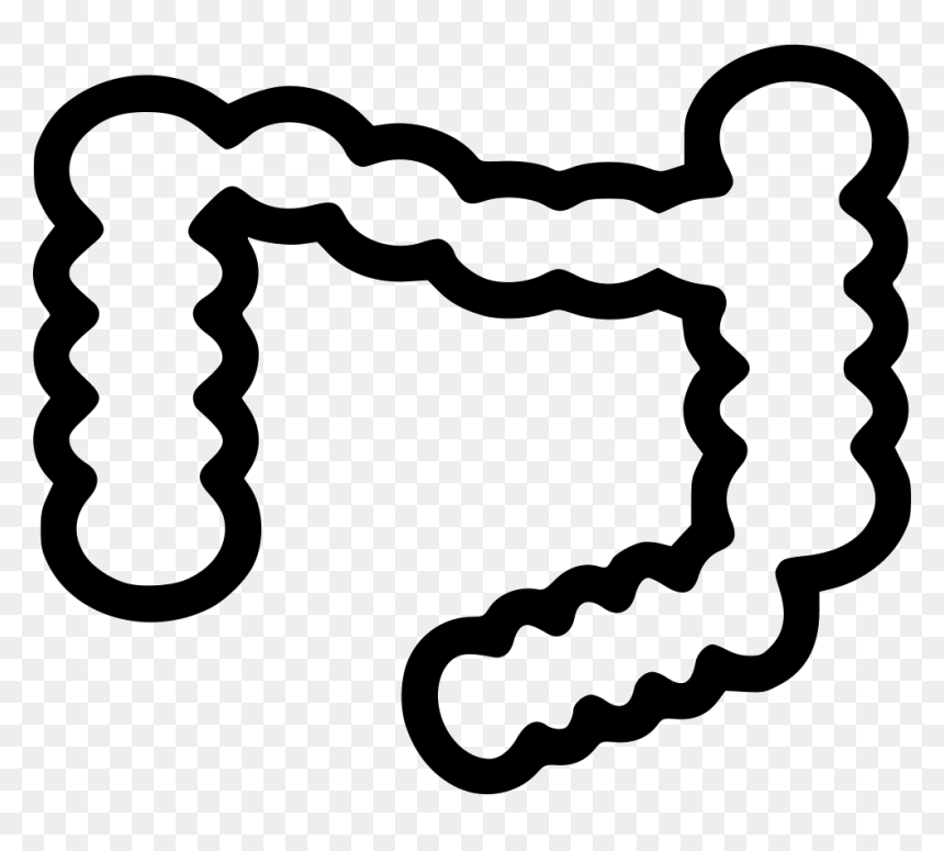 Intestines - Scalable Vector Graphics, HD Png Download - intestines png